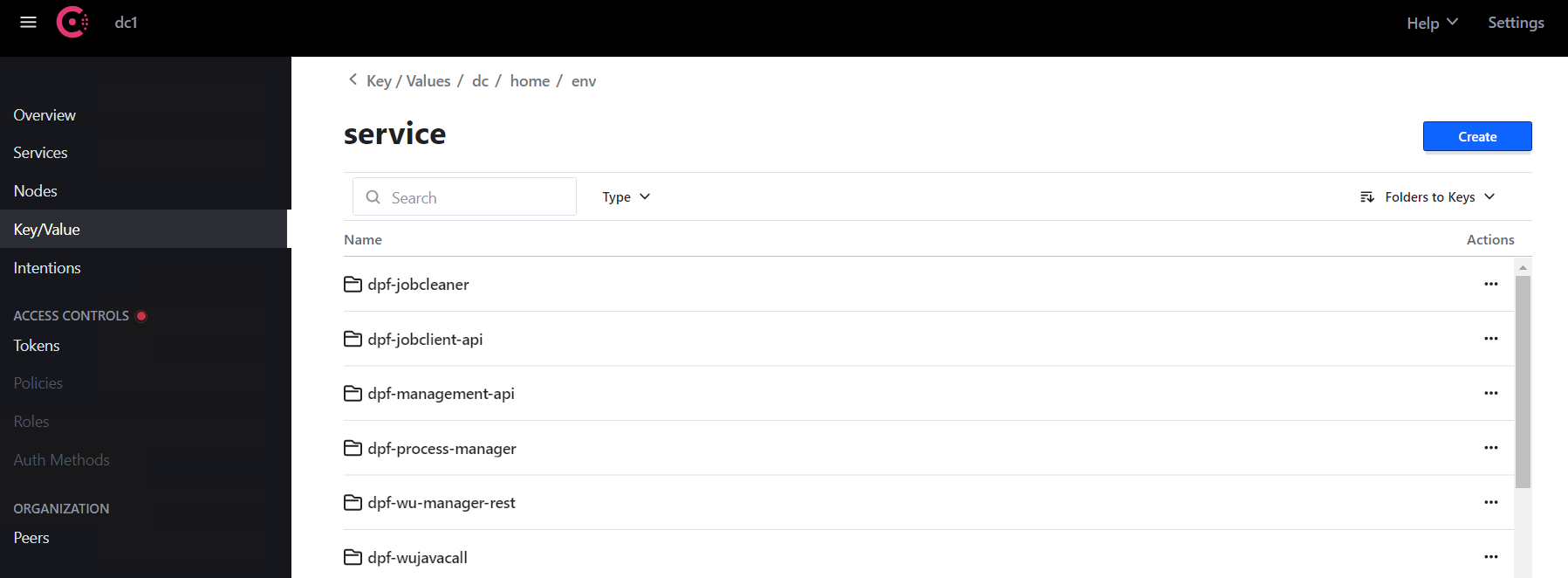 View of the Consul interface listing the services for which environment variables are set